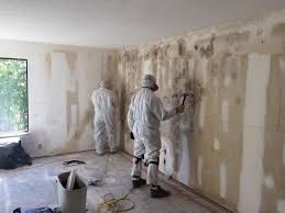 Professional Mold Removal in Lincolnshire, IL